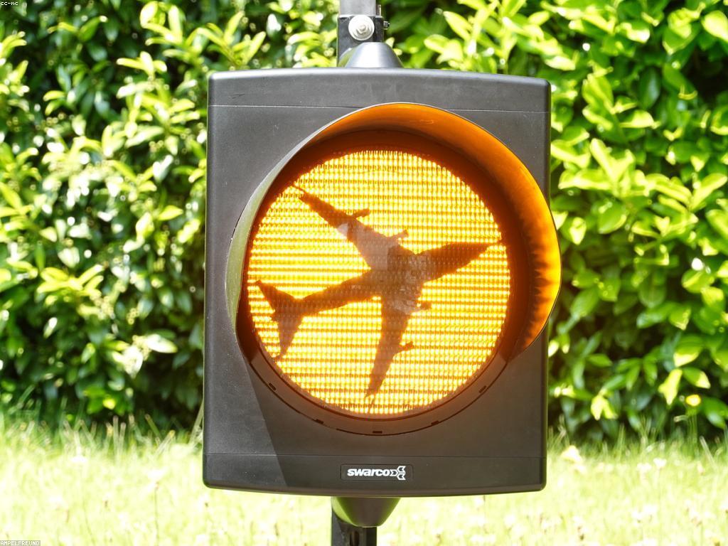 អនាគតនៃការលេង